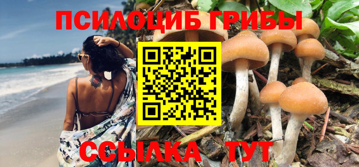Галлюциногенные грибы Cubensis Саратов